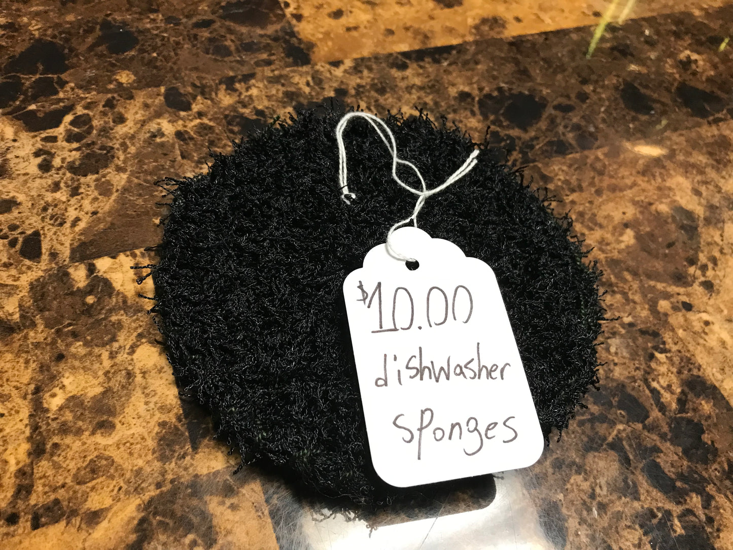 Sponges